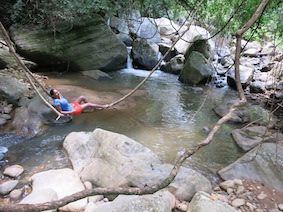 At the jungle river